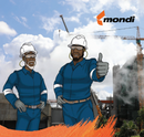 Mondi Safe Shutdown manual 2025