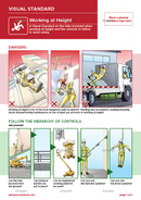 visual standard, working at height, falls from height
