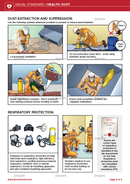 visual standard, health risks, prevent dust exposure
