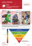 visual standard, personal protective equipment, PPE